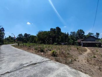Jual Tanah Pekarangan Murah dkt Candi Prambanan