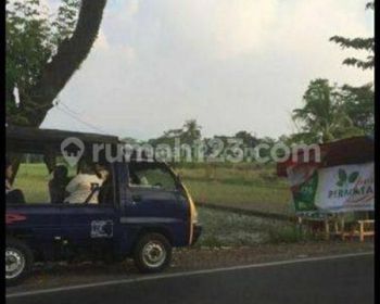 Tanah Murah SHM Pinggir Jalan Raya Subang Cocok Untuk Pabrik Dan Gudang