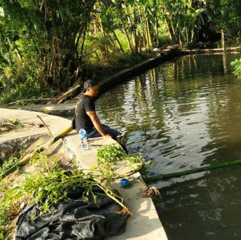 Tanah sewa ( leasehold ) lokasi di desa singakerta ubud dekat rusters