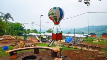 Miliki Investasi Kebun Anggur Agar Asetmu Tambah Subur