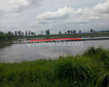 Lahan Strategis Pinggir Jalan Raya Majalaya Rancaekek