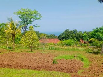 FOR sale Flat Land With Sea View Area Villas And Good Acces In Lovina