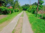 thumbnail-for-sale-flat-land-with-sea-view-area-villas-and-good-acces-in-lovina-4