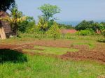 thumbnail-for-sale-flat-land-with-sea-view-area-villas-and-good-acces-in-lovina-2