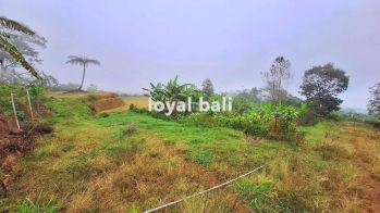Tanah, Beautiful Land With Countour Shape For Sale In Buleleng, Singaraja, Bali