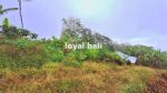thumbnail-tanah-beautiful-land-with-countour-shape-for-sale-in-buleleng-singaraja-bali-5