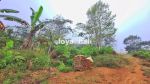 thumbnail-tanah-beautiful-land-with-countour-shape-for-sale-in-buleleng-singaraja-bali-3