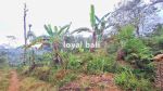 thumbnail-tanah-beautiful-land-with-countour-shape-for-sale-in-buleleng-singaraja-bali-4