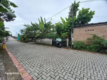 Dijual Tanah Pekarangan Siap Bangun murah mangku jalan kampung strategis