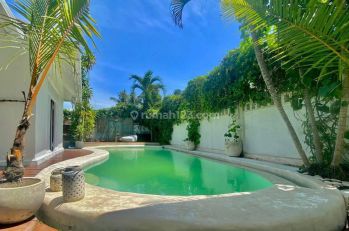 villa rent canggu 2 bed room for rent
