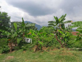 Tanah Kavling Taman Legian Sentul City Bogor View Gunung