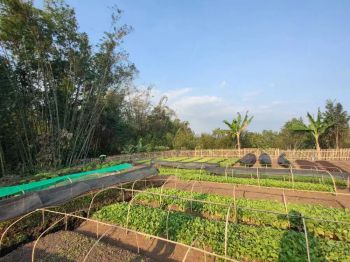 Tanah view sempurna di Pandanrejo Kota Batu