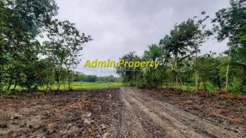 Pekarangan Siap Ajb, Strategis Dekat Pasar Baru Sentolo