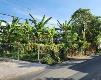 Dijual tanah 5 are bumbak umalas utama