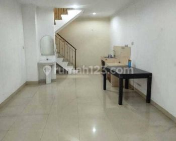 Golden Palm 4x12,5 Rp 1.35m Hook, Jalan Lebar