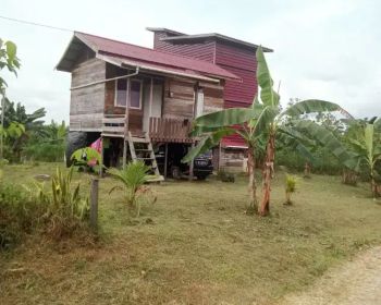 Tanah dan Rumah burung walet