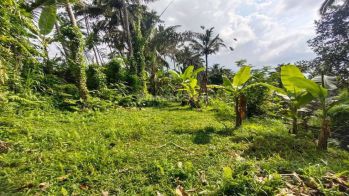 Di Jual Tanah di Ubud dekat air terjun View Lembah, jungle,sungai
