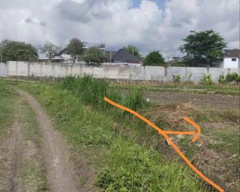 TANAH SAWAH LUAS COCOK UNTUK INVESTASI, HUNIAN, USAHA, MURAH, JK11575