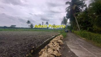 Jual Pekarangan di Pengasih, Dekat Kampus UAD 4 View Sawah