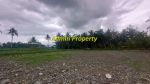 thumbnail-jual-pekarangan-di-pengasih-dekat-kampus-uad-4-view-sawah-2