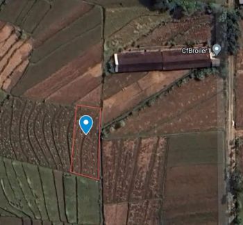 Lahan/Pekarangan Sawah