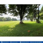 thumbnail-kavling-mewah-paramount-hill-golf-gading-serpong-10