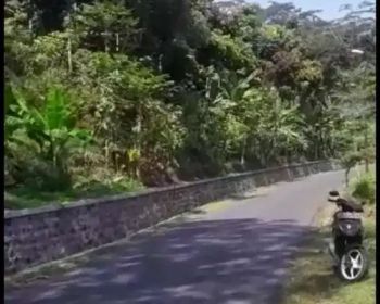 Tanah kebun murah pinggir jalan rancakalong sumedang