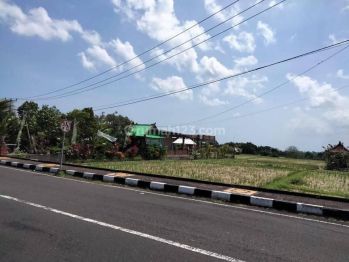 Murah Tanah 17 Are Jalan Utama Tanah Lot Beraban Tabanan