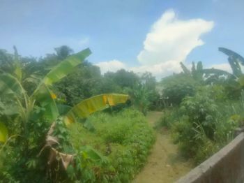 Di jual tanah 540m2 ( AJB)