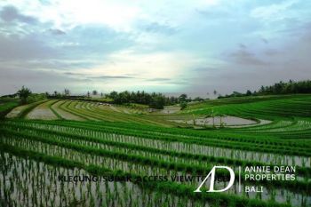 FREEHOLD RIVER VIEW LAND IN KLECUNG TABANAN