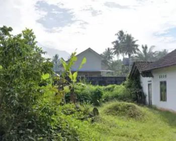 Ngampel trojayan Harjobinangun kec.pakem