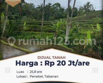 TANAH MURAH DI PENEBEL COCOK INVESTASI DAN VILLA