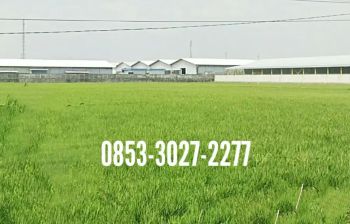 Sell Tanah: Tanah di Madiun
