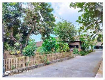 10 Menit Kampus Uii, Pekarangan Matang Dekat Tengkleng Gajah Kaliurang