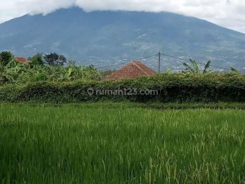 Tanah bagus sawa&darat lokasi cimande caringin harga 600rb/m shm