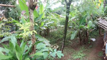 Tanah di Jual 150 m² Lokasi Potensial dan Strategis