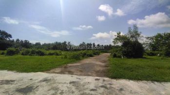 Tanah Murah Jl Daendels Purworejo Dijual SHM Siap Ajb