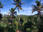 thumbnail-tanah-di-tegallalang-gianyar-bali-gianyar-shm-view-alam-7