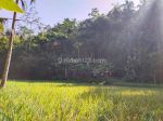 thumbnail-tanah-di-tegallalang-gianyar-bali-gianyar-shm-view-alam-0