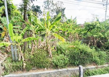 Tanah di Harjosari , Bawen Tt 5876