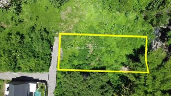 Jual Tanah View Sungai 15 Menit Ke Canggu