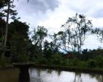 thumbnail-dijual-lahan-view-gunung-giri-jaya-cidahu-7