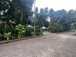 thumbnail-tanah-hoek-kebayoran-lama-4