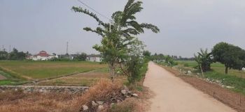 LAHAN DI KERJASAMAKAN MURNI DI BABELAN, BEKASI