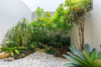 Springhill Yume Lagoon Tipe Sakura