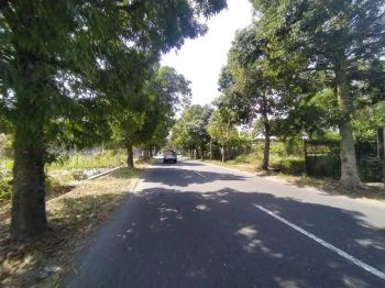 Tanah Palagan: SHM Pekarangan