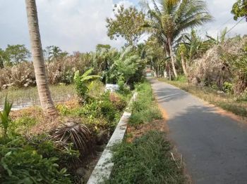 Dijual Tanah Sawah 1100m Di Turi Sleman