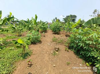 Tanah kavling dekat pasar Bobotsari Purbalingga