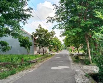 Di jual tanah SHM pekarangan murah di Ngemplak Sleman Yogyakarta