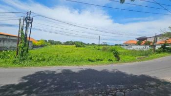 Disewakan tanah komersil view sawah pererenan